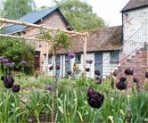 The Hen House  - Ludlow,  