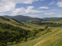 Bowmont Cottage,Crookhouse  - Wooler,  