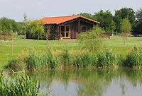 Rural Roosts  - Lincoln,  