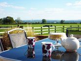 Merkins Farm Cottages  - Bradford-on-Avon,  
