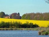 Old Barn Cottages  - Great Sturton,  