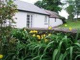 Bulls Cottage  - Okehampton  Tavistock,  