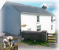 Southstack Cottage  - Holyhead,  
