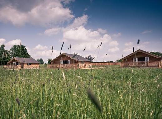 Open plan comfy living