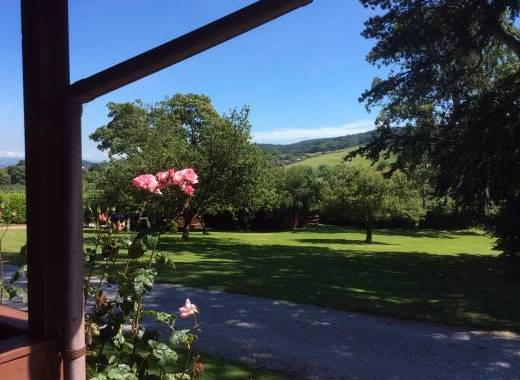 self-catering pine lodges somerset