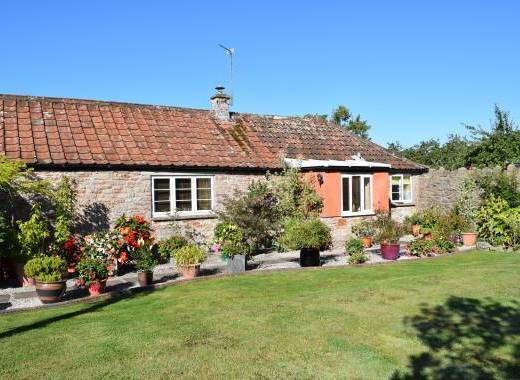 Rear garden and entrance porch