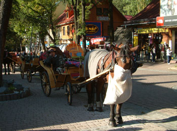 self catering holidays zakopane