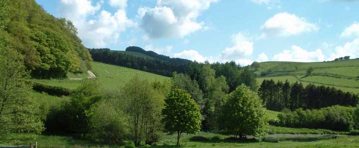 holiday cottages country cottages log cabins somerset uk