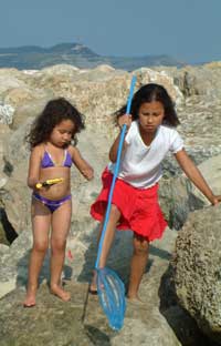 seaside holidays 2011