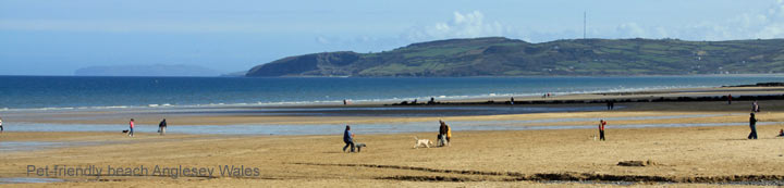 pet friendly holiday lets wales
