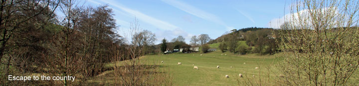 log cabin holidays uk