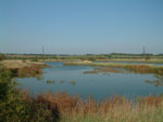 south woodham ferrers for self-catering breaks