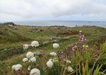 cottages to sleep 12 people in the West Country UK