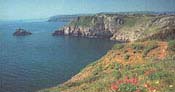 self catering country cottages near Devon's beaches
