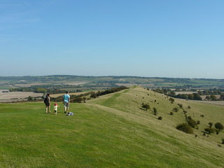 Green countryside in England