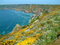 Guernsey holiday cottages