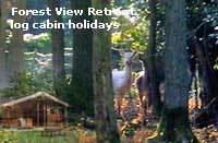 log cabin holidays where you can take your horse