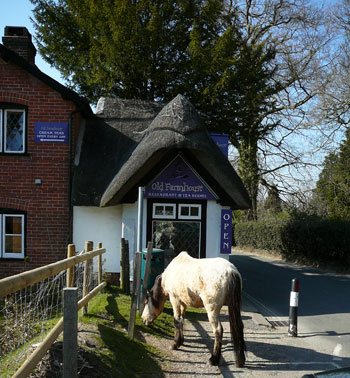 self catering holidays new forest
