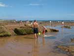 seasideholidays