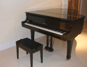 Piano at holiday house