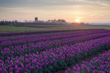 Norfolk