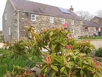 cottage in south wales for bird watching