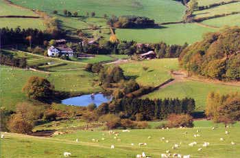 luxury pine lodge in Wales