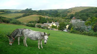 rural retreat in Somerset