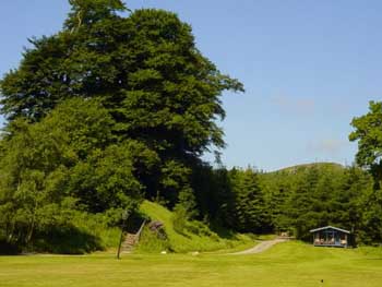 pine lodges on estate in scotland