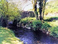 fishing holiday Wales, 2 bedroom cottage, trout stream