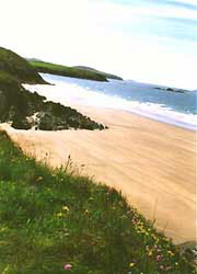 Beautiful clean and sandy Pembrokeshire beach for a superb family holiday