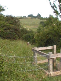 Stay in Essex for an interesting and varied holiday. Find self-catering cotatges, houses, bungalows, apartments and other accommodation.