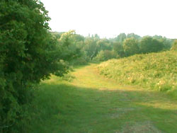 A reminder of Essex countryside from years past