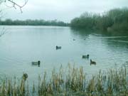 Cotswold water park, cottages and self-catering accommodation