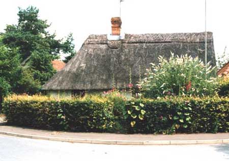 A charming thatched cottage adorned with hollyhocks