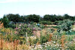 herb garden section of Eco garden at Swaffham wind turbine, near Kings Lynn - well worth the visit