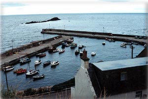 Gardenstown_Harbour.jpg (15855 bytes)