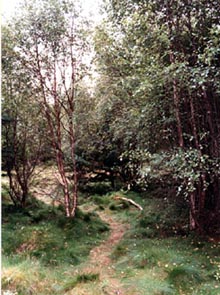 Parkhill.jpg (26280 bytes)