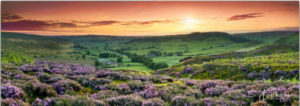 Yorkshire Landscape by Sam Jackson