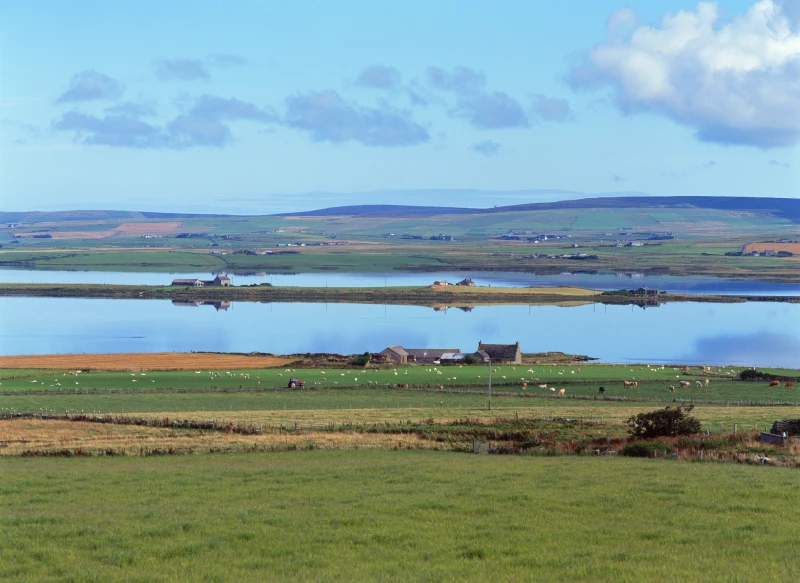 Orkney Isles