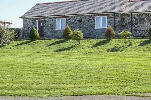 Middle Barn Dogs-welcome Cottage, South West England  - Launceston, 
