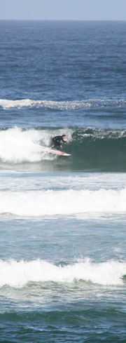 surfing holidays west country uk