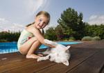 pet-friendly cottages with a swimming pool