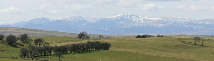 self catering cottages