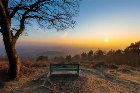 Surrey Hills AONB in England's South East