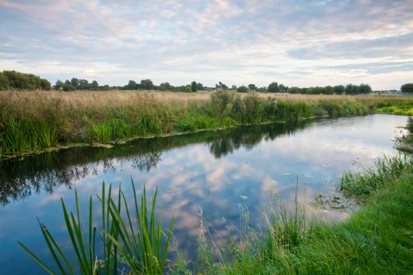 Cambridgeshire fens