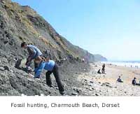 self-catering cottages and houses close to a beach