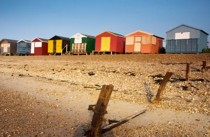 Whitstable Dogs Welcome Beach year round