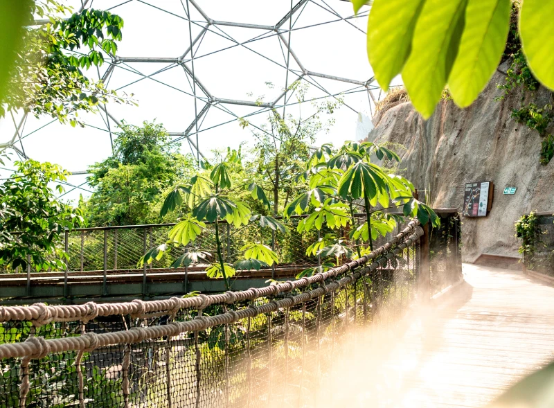 Eden Project, Cornwall