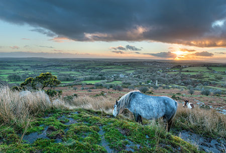 Bodmin Moor